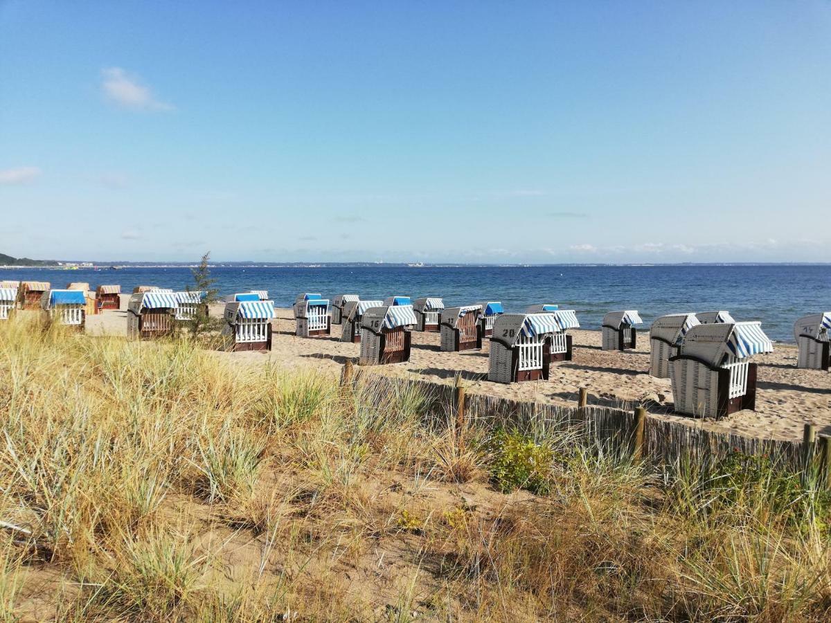 Seepferdchen Timmendorfer Strand