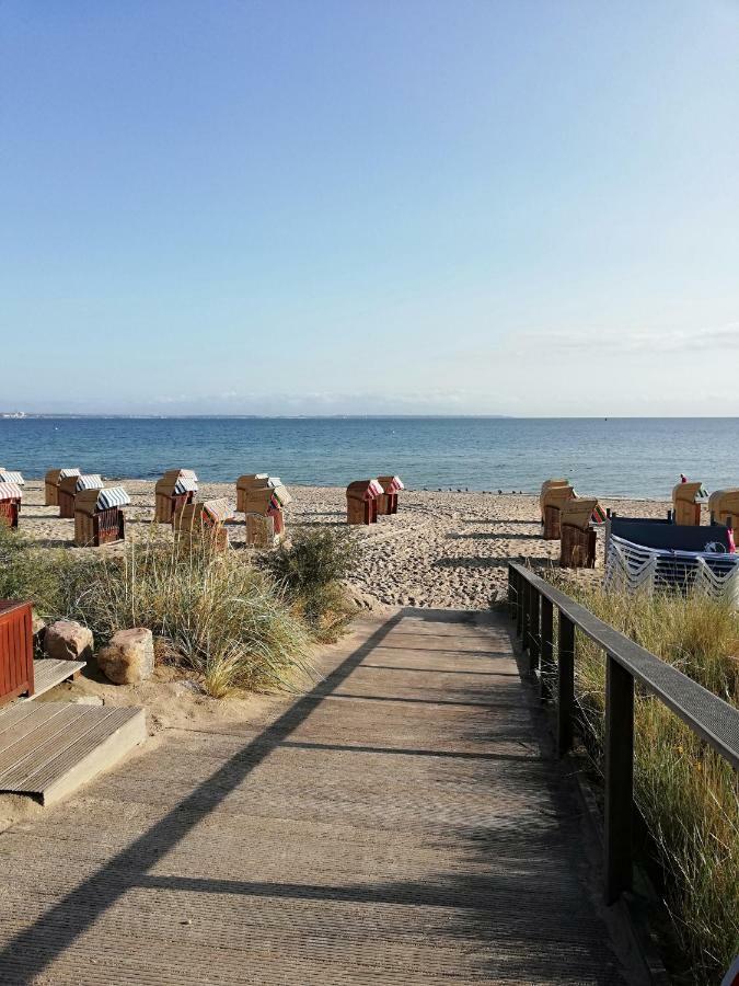 Seepferdchen Timmendorfer Strand